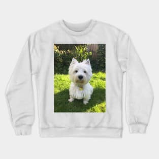 Westie Crewneck Sweatshirt